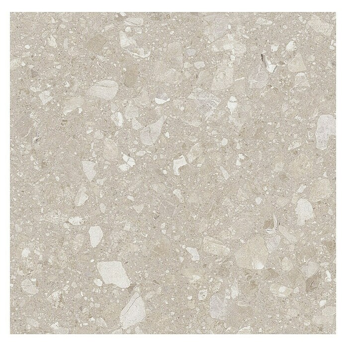 Kamena podna pločica Terra Beige Sugar  (60 x 60 cm, Bež, Mat) | BAUHAUS