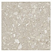Kamena podna pločica Terra Beige Sugar  (60 x 60 cm, Bež, Mat) | BAUHAUS