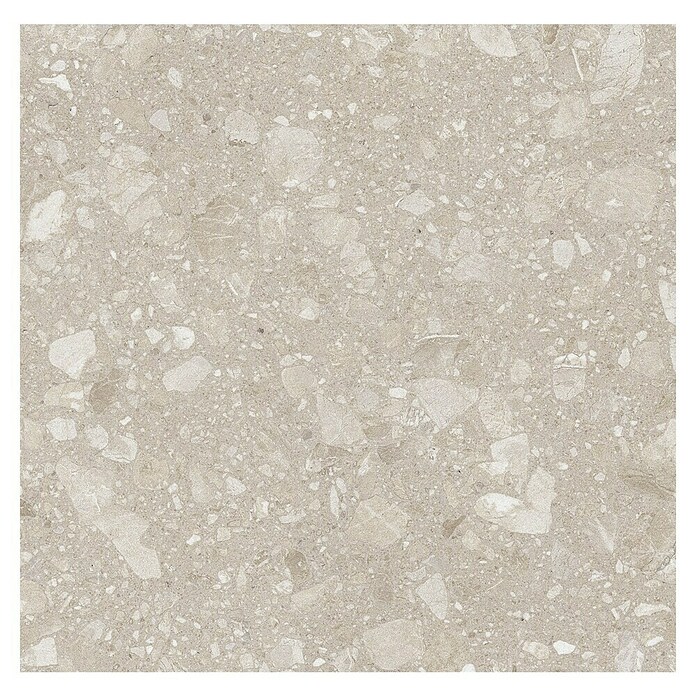 Kamena podna pločica Terra Beige Sugar  (60 x 60 cm, Bež, Mat) | BAUHAUS