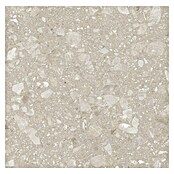 Kamena podna pločica Terra Beige Sugar  (60 x 60 cm, Bež, Mat) | BAUHAUS