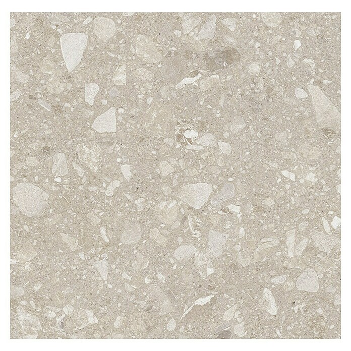 Kamena podna pločica Terra Beige Sugar  (60 x 60 cm, Bež, Mat) | BAUHAUS