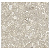 Kamena podna pločica Terra Beige Sugar  (60 x 60 cm, Bež, Mat) | BAUHAUS