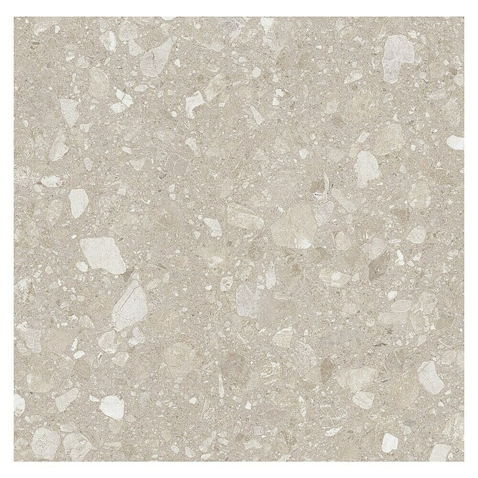 Kamena podna pločica Terra Beige Sugar  (60 x 60 cm, Bež, Mat) | BAUHAUS