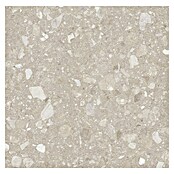 Kamena podna pločica Terra Beige Sugar  (60 x 60 cm, Bež, Mat) | BAUHAUS