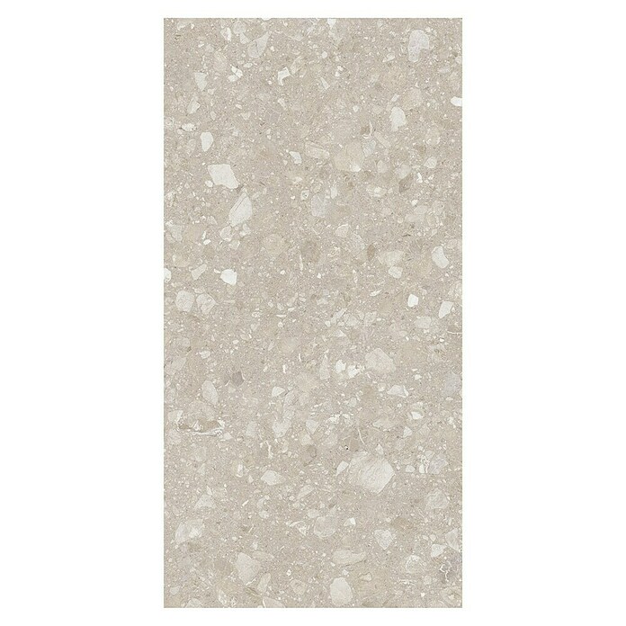 Kamena podna pločica Terra Beige  (120 x 60 cm, Bež, Mat) | BAUHAUS