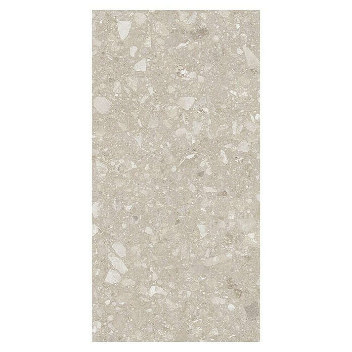 Kamena podna pločica Terra Beige  (120 x 60 cm, Bež, Mat) | BAUHAUS