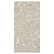 Kamena podna pločica Terra Beige  (120 x 60 cm, Bež, Mat) | BAUHAUS