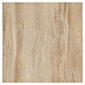 Kamena podna pločica Travertine  (60 x 60 cm, Bež, Mat) | BAUHAUS