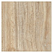 Kamena podna pločica Travertine  (60 x 60 cm, Bež, Mat) | BAUHAUS