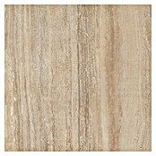 Kamena podna pločica Travertine  (60 x 60 cm, Bež, Mat) | BAUHAUS