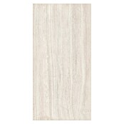 Kamena podna pločica Travertine  (120 x 60 cm, Slonovača, Mat) | BAUHAUS