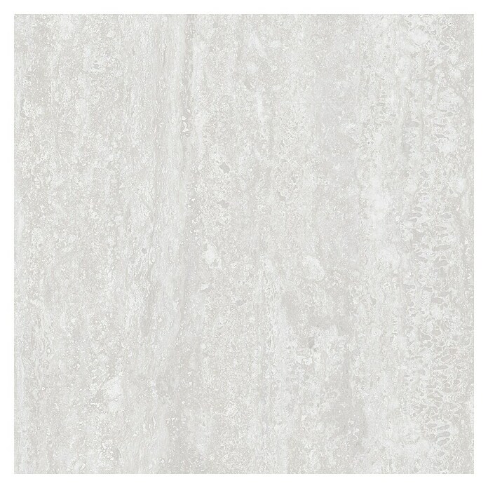 Kamena podna pločica Treviso  (60 x 60 cm, Siva, Mat) | BAUHAUS