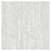 Kamena podna pločica Treviso  (60 x 60 cm, Siva, Mat) | BAUHAUS