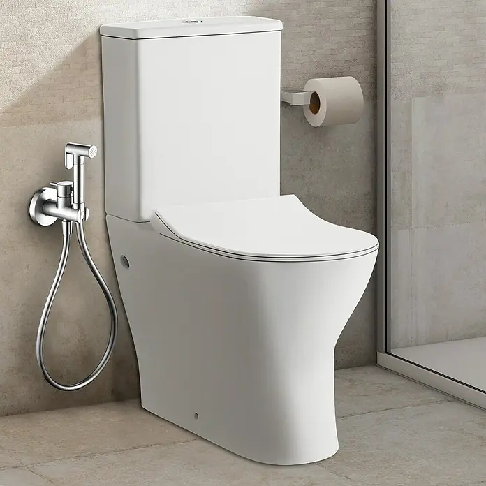 Camargue Natur Ducha higiénica inodoro - Cromo - Un inodoro blanco con ducha higiénica y un portarrollos. Un elegante complemento para cualquier baño, que combina funcionalidad y confort.