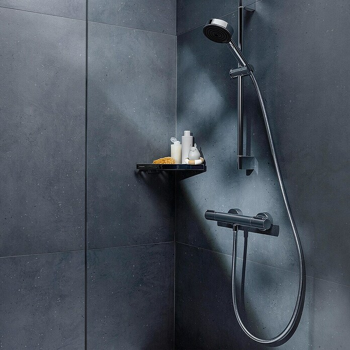 Hansgrohe Ecostat Douchethermostaatkraan Element (Zilver) | BAUHAUS