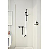Grohe QuickFix Vitalio Start Handbrause 110 (Anzahl Funktionen: 2 Stk., Schwarz) | BAUHAUS