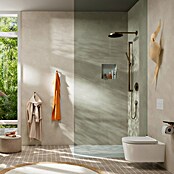 Hansgrohe Pulsify S Douchekop 100 (Brons) | BAUHAUS