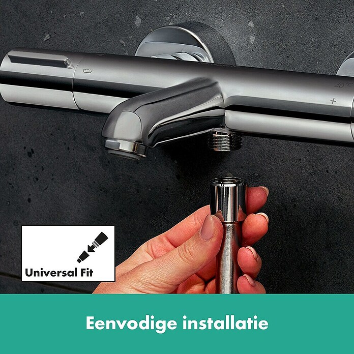 Hansgrohe Ecostat Badkraan Element (Zilver) | BAUHAUS