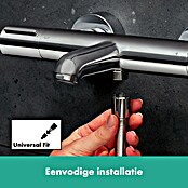 Hansgrohe Ecostat Badkraan Element (Zilver) | BAUHAUS