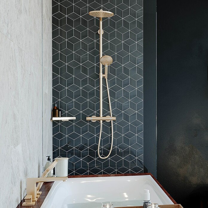 Hansgrohe AddStoris Zeepkorf (Brons) | BAUHAUS