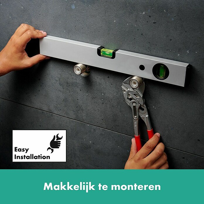 Hansgrohe Ecostat Badkraan Element (Zilver) | BAUHAUS