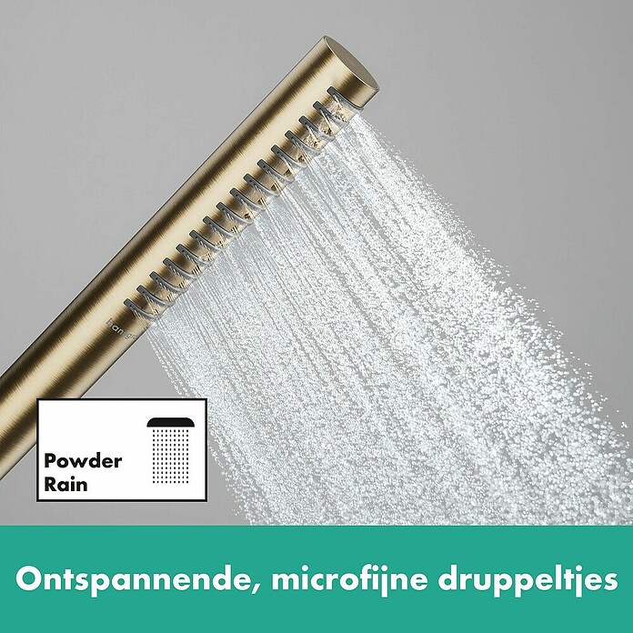 Hansgrohe Pulsify S Douchekop 100 (Brons) | BAUHAUS
