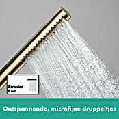 Hansgrohe Pulsify S Douchekop 100 (Brons) | BAUHAUS