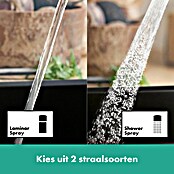 Hansgrohe Keukenkraan Zesis 160 (Zwart, Mat) | BAUHAUS