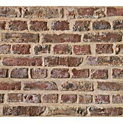 Papirnata tapeta Authenitc Walls  (D x Š: 10,05 x 0,53 m, Smeđa) | BAUHAUS