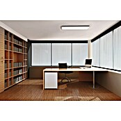 Ledvance Smart+ WiFi LED-Panel Planon Plus TW (28 W, Silber) | BAUHAUS