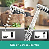 Hansgrohe Keukenkraan Zesis 150 (Chroom) | BAUHAUS