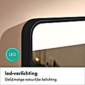 Hansgrohe Led-lichtspiegel Xarita Lite Q (600 x 700 mm) | BAUHAUS