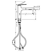 Hansgrohe Keukenkraan Zesis 160 (Zwart, Mat) | BAUHAUS