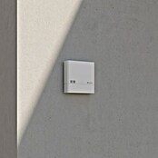 Steinel Sensor crepuscular NightmatIQ Plus (Blanco) | BAUHAUS