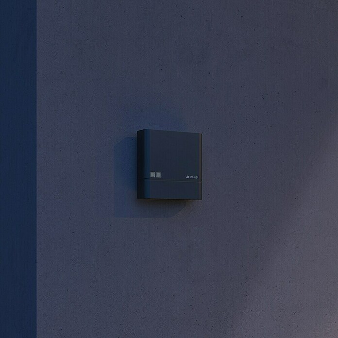 Steinel Dämmerungssensor NightmatIQ Plus (Anthrazit) | BAUHAUS