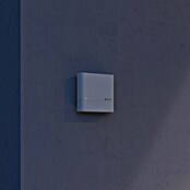 Steinel Sensor crepuscular NightmatIQ Plus (Blanco) | BAUHAUS