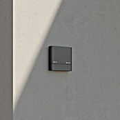 Steinel Dämmerungssensor NightmatIQ Plus (Anthrazit) | BAUHAUS