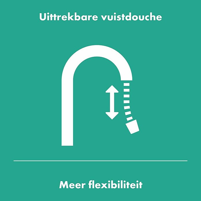 Hansgrohe Keukenkraan Zesis 150 (Chroom) | BAUHAUS