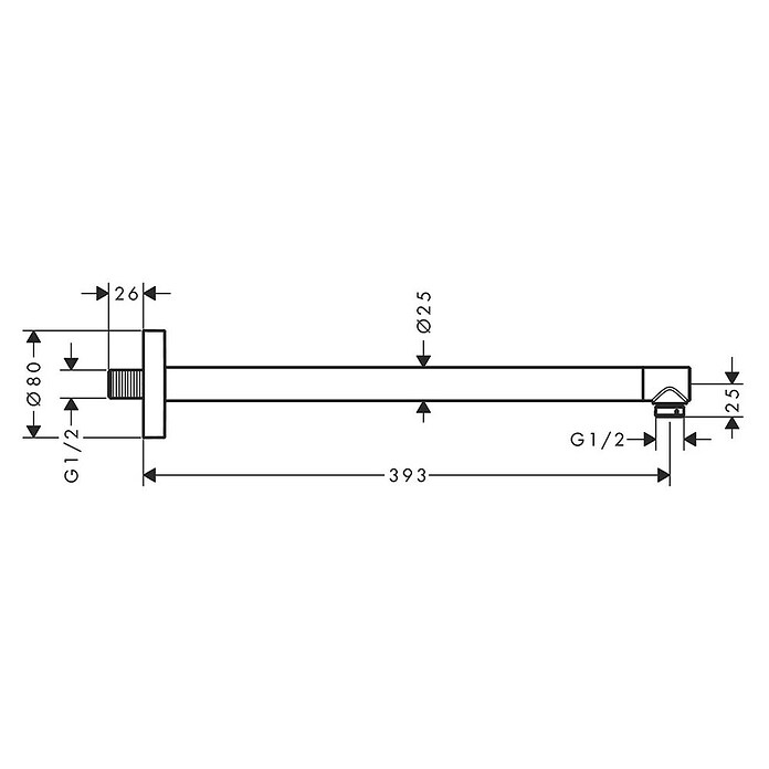 Hansgrohe Douchearm S (Lengte: 419 mm) | BAUHAUS