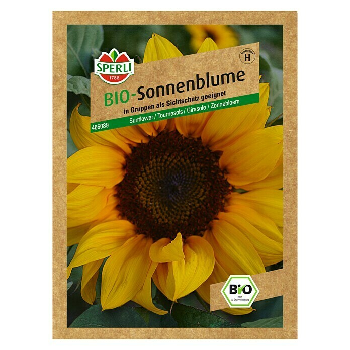 Sperli Blumensamen SonnenblumeBio, Helianthus annuus, Blütezeit: August - Oktober Unknown