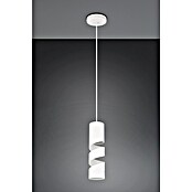 Trio Lighting Stream Lámpara colgante (10 W, Ø x Al: 12 x 150 cm, Blanco, GU10) | BAUHAUS