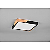Reality Leuchten LED stropna svjetiljka Meta  (20 W, D x Š x V: 31,5 x 31,5 x 3,5 cm, Crna, Topla bijela) | BAUHAUS