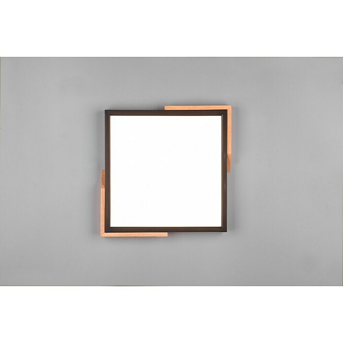 Reality Leuchten LED stropna svjetiljka Meta  (20 W, D x Š x V: 31,5 x 31,5 x 3,5 cm, Crna, Topla bijela) | BAUHAUS