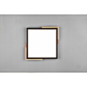 Reality Leuchten LED stropna svjetiljka Meta  (20 W, D x Š x V: 31,5 x 31,5 x 3,5 cm, Crna, Topla bijela) | BAUHAUS