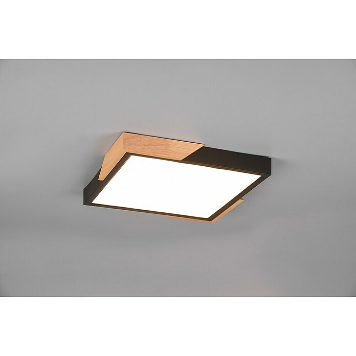 Reality Leuchten LED stropna svjetiljka Meta  (20 W, D x Š x V: 31,5 x 31,5 x 3,5 cm, Crna, Topla bijela) | BAUHAUS