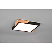 Reality Leuchten LED stropna svjetiljka Meta  (20 W, D x Š x V: 31,5 x 31,5 x 3,5 cm, Crna, Topla bijela) | BAUHAUS