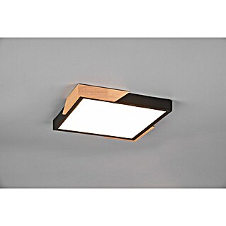 Reality Leuchten LED stropna svjetiljka Meta (20 W, D x Š x V: 31,5 x 31,5 x 3,5 cm, Crna, Topla bijela)