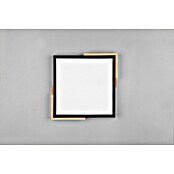 Reality Leuchten LED stropna svjetiljka Meta  (20 W, D x Š x V: 31,5 x 31,5 x 3,5 cm, Crna, Topla bijela) | BAUHAUS