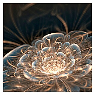 Cuadro de vidrio Flor de luz (Flower of light, An x Al: 90 x 90 cm)