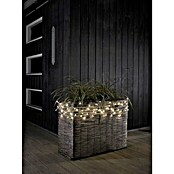 Konstsmide LED-Lichterkette Micro gefrostet (Außen, 120-flammig, 19,04 m, Warmweiß)